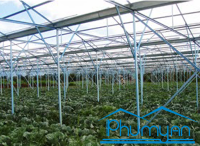 Hệ giàn thép mạ nhà vòm