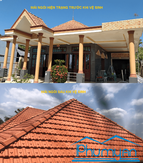 son-mai-ngoi-cu-tp-hcm-uy-tin