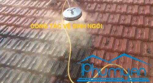 son-mai-ngoi-cu-quan-tan-binh-chuyen-nghiep